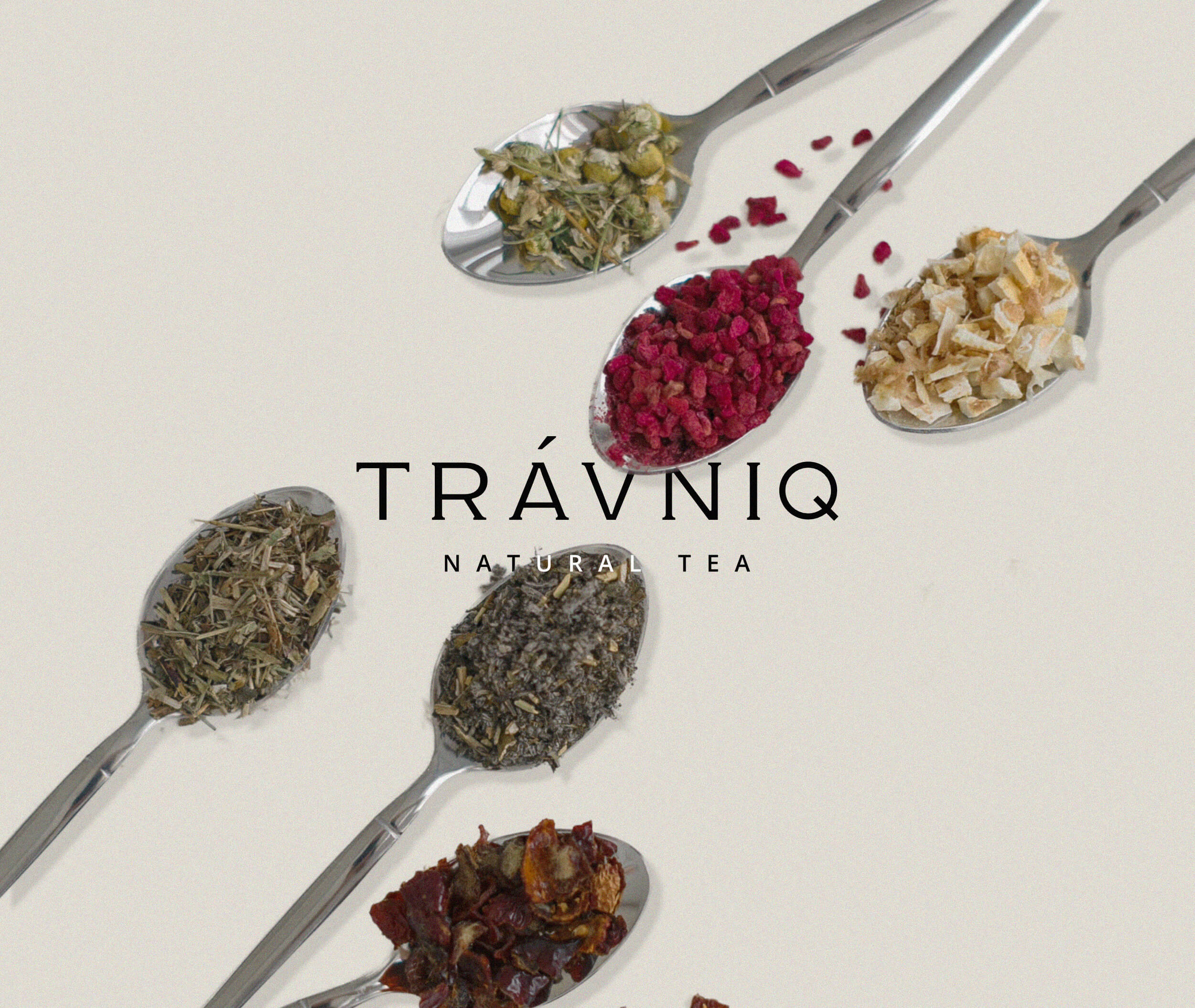 TRAVNIQ